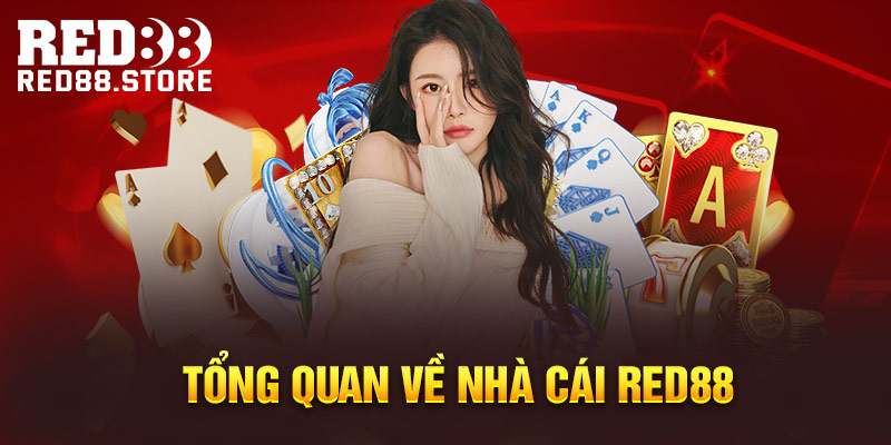Công viên giải trí hạng Letou cung cấp những tiện ích gì? - Letou