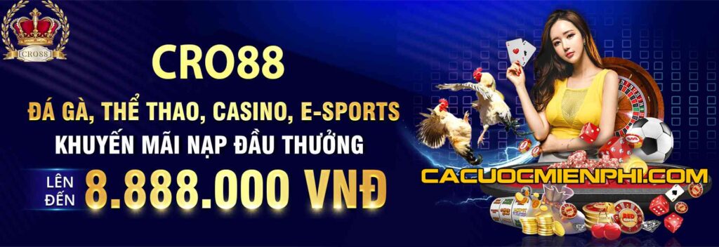 Liên kết thay thế: Xem các trận đấu bóng đá trực tuyến trên Leo88 TV - Leo88