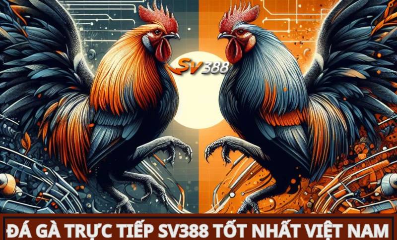 Có thể có một số vấn đề khi thiết lập hạn mức tín dụng Bwin Dưới đây là các giải pháp - Bwin