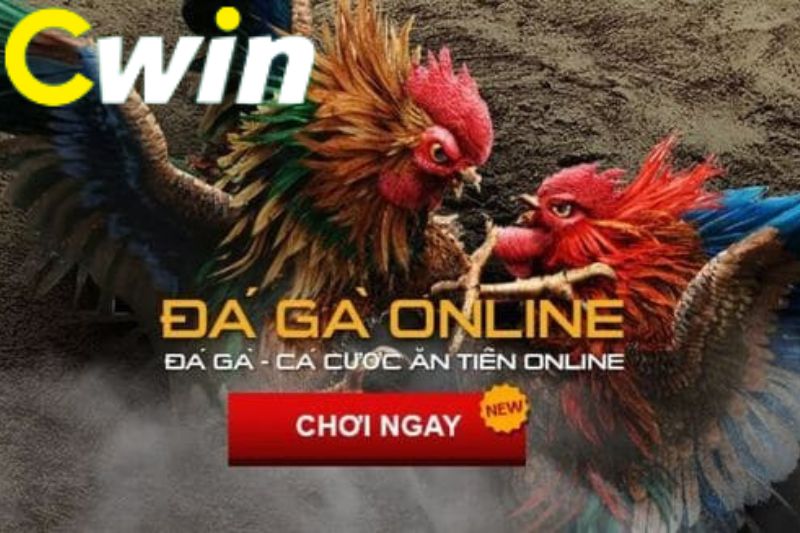 Sv388 thường xuyên cập nhật sảnh trò chơi của mình - Sv388