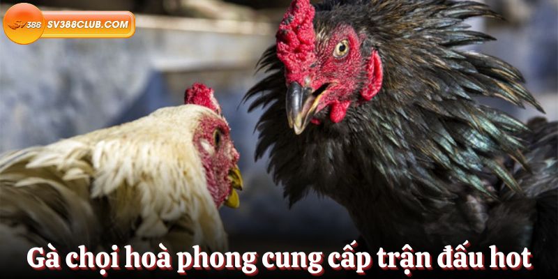 Lời khuyên về cách chơi xổ số Kubet - Kubet