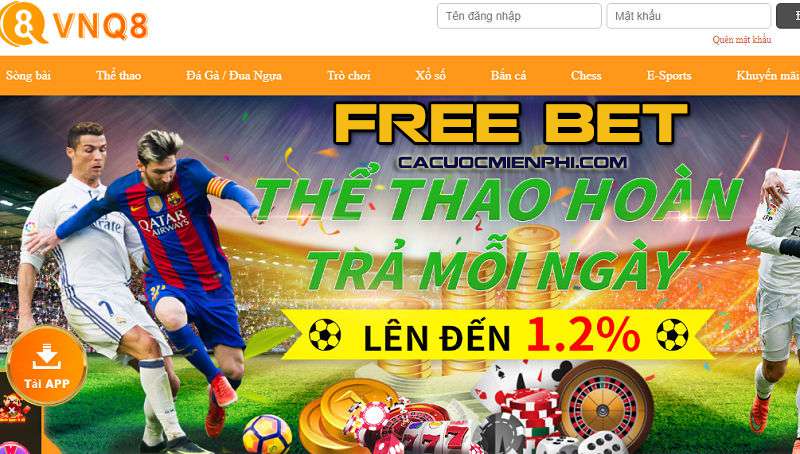 Cung cấp hướng dẫn chi tiết và ngắn gọn về cách tải xuống 68Win trên nhiều nền tảng khác nhau - 68Win