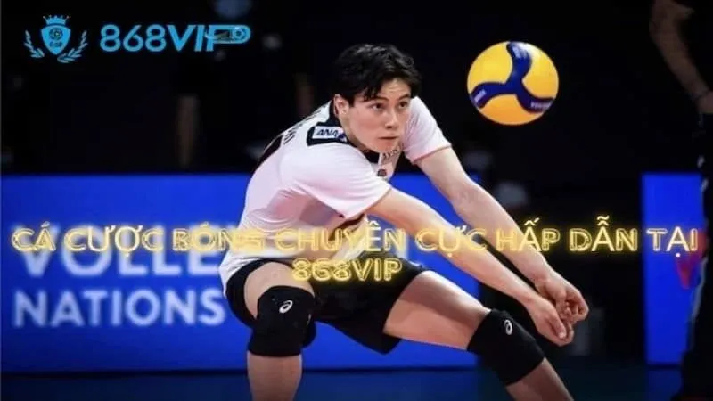 Dưới đây là một số thông tin thú vị về Z8bet - Z8bet