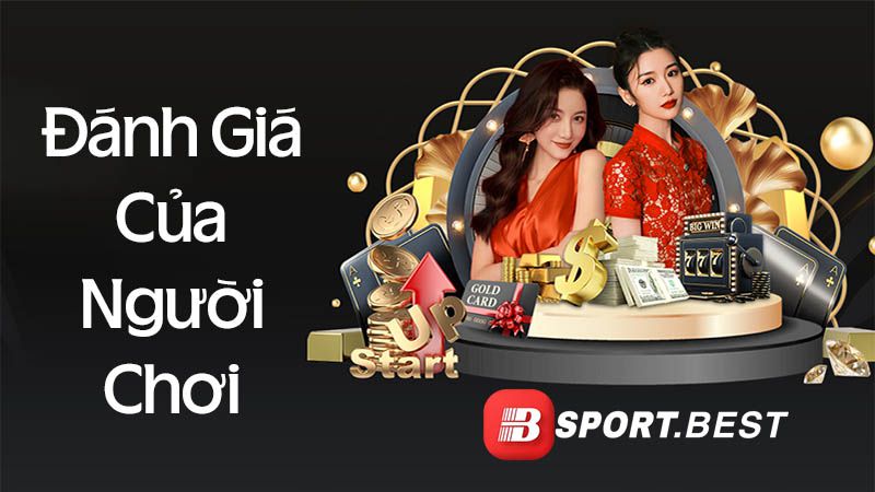Tại sao người chơi lại đăng ký trở thành thành viên của một trang web game cấp C54? - C54