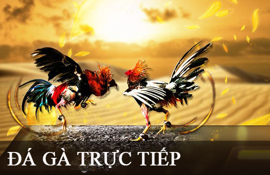 Hướng dẫn cách nạp và rút tiền thông qua nền tảng trò chơi bài trực tuyến U888 - U888