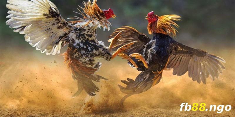 Hướng dẫn cách người chơi có thể đăng nhập vào Vb68 bằng máy tính - Vb68