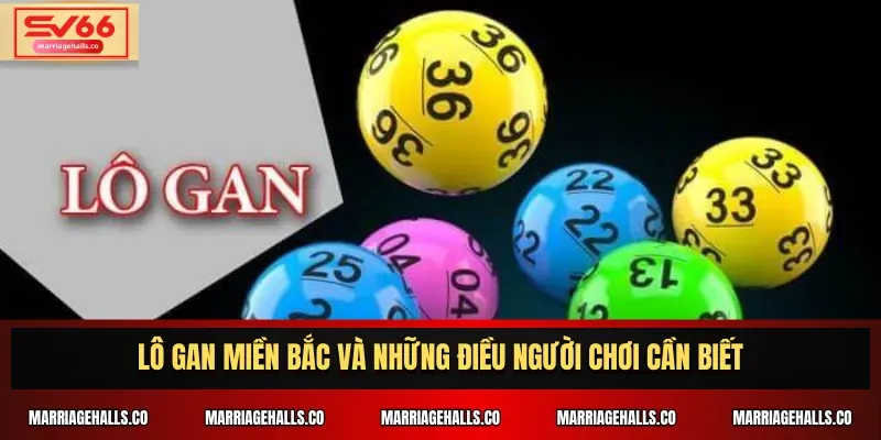 Trải nghiệm trò chơi bài đẳng cấp 126Bet và giành chiến thắng mọi lúc - 126Bet