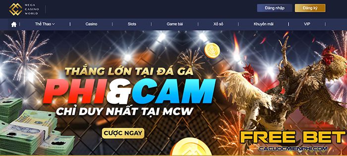 Thông tin nền tảng Xvip - Xvip