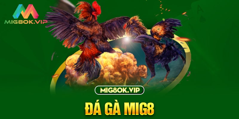 Dịch vụ hỗ trợ cổng game Caxeng 24/7 - Caxeng
