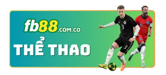 Những điều cần lưu ý khi tham gia chương trình thành viên VIP của Zet88 - Zet88