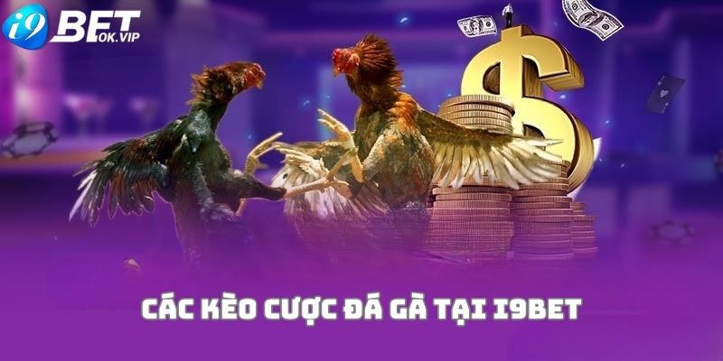 Helo88 có một số phẩm chất đáng khen ngợi - Helo88