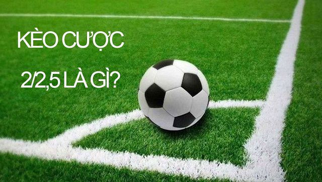 Hãy tổ chức cuộc thi một cách công bằng và khách quan trong các cuộc thi cấp độ Ax88 - Ax88