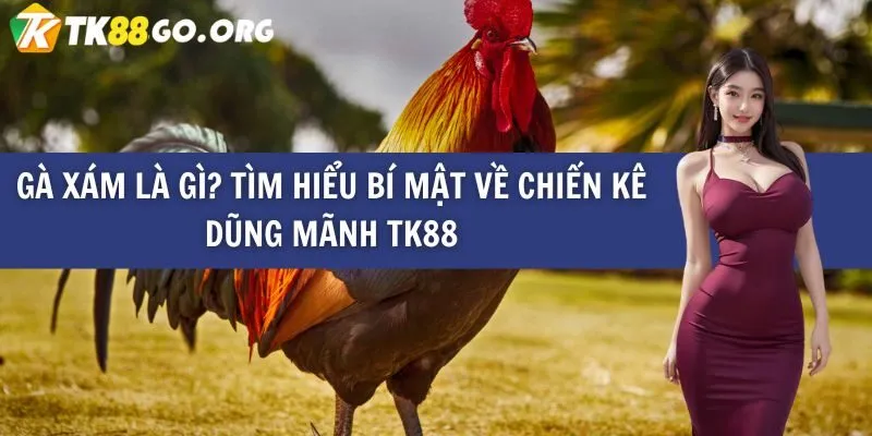Chúng tôi tự hào ra mắt thương hiệu game đẳng cấp Kimsa của mình - Kimsa