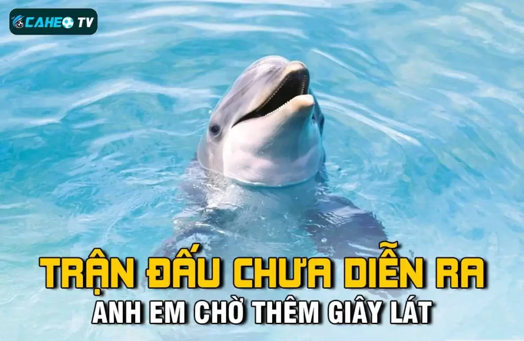 Ev8 không có mức cược tối thiểu và là trang web chơi game trực tuyến tốt nhất - Ev8