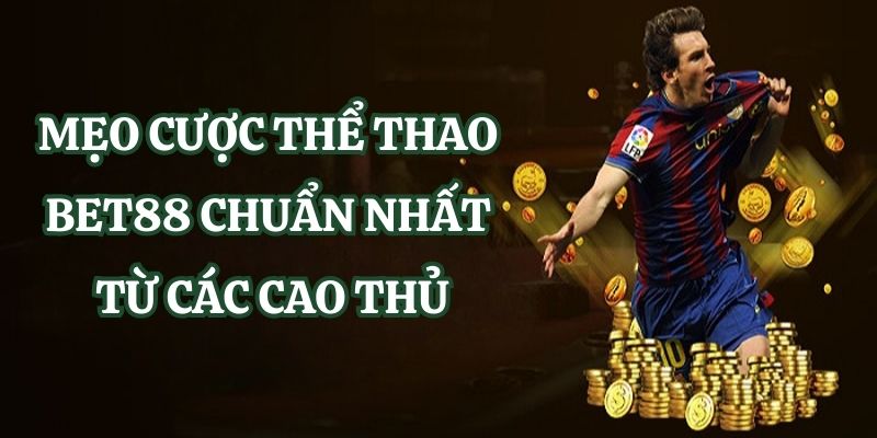 Bản cập nhật 24N lớn - 24N